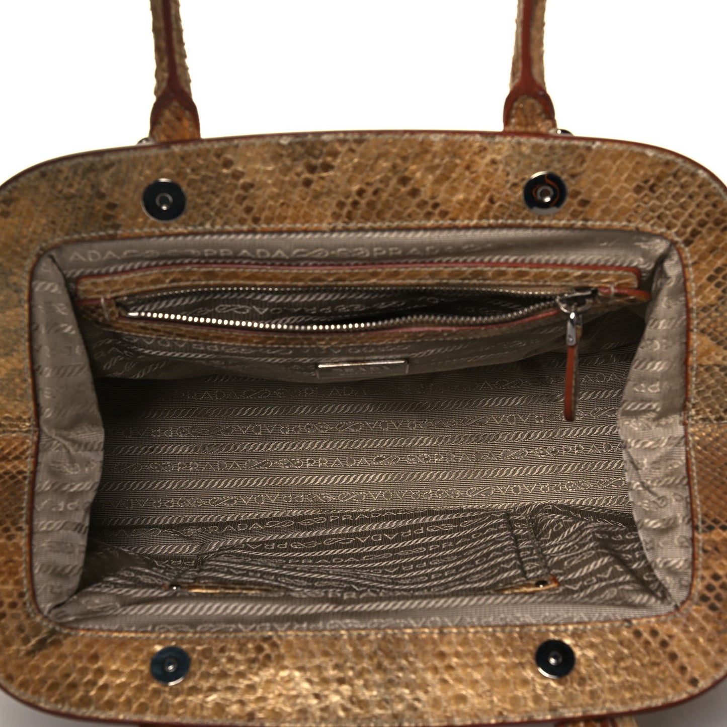 Metallic Python Frame Satchel Oro