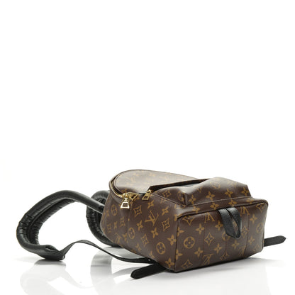 Louis Vuitton Monogram Palm Springs Backpack PM 4 of 6