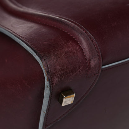 Celine Palmelato Mini Luggage Burgundy Azur Blue 9 of 33