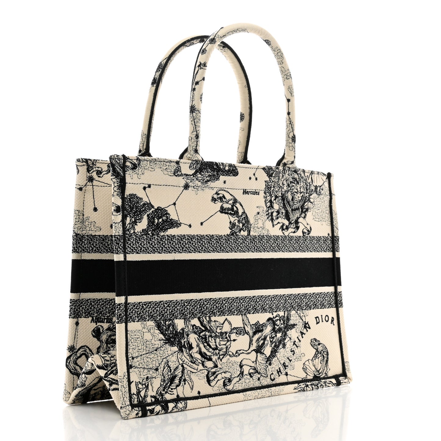 Canvas Zodiac Toile De Jouy Embroidered Medium Book Tote Latte