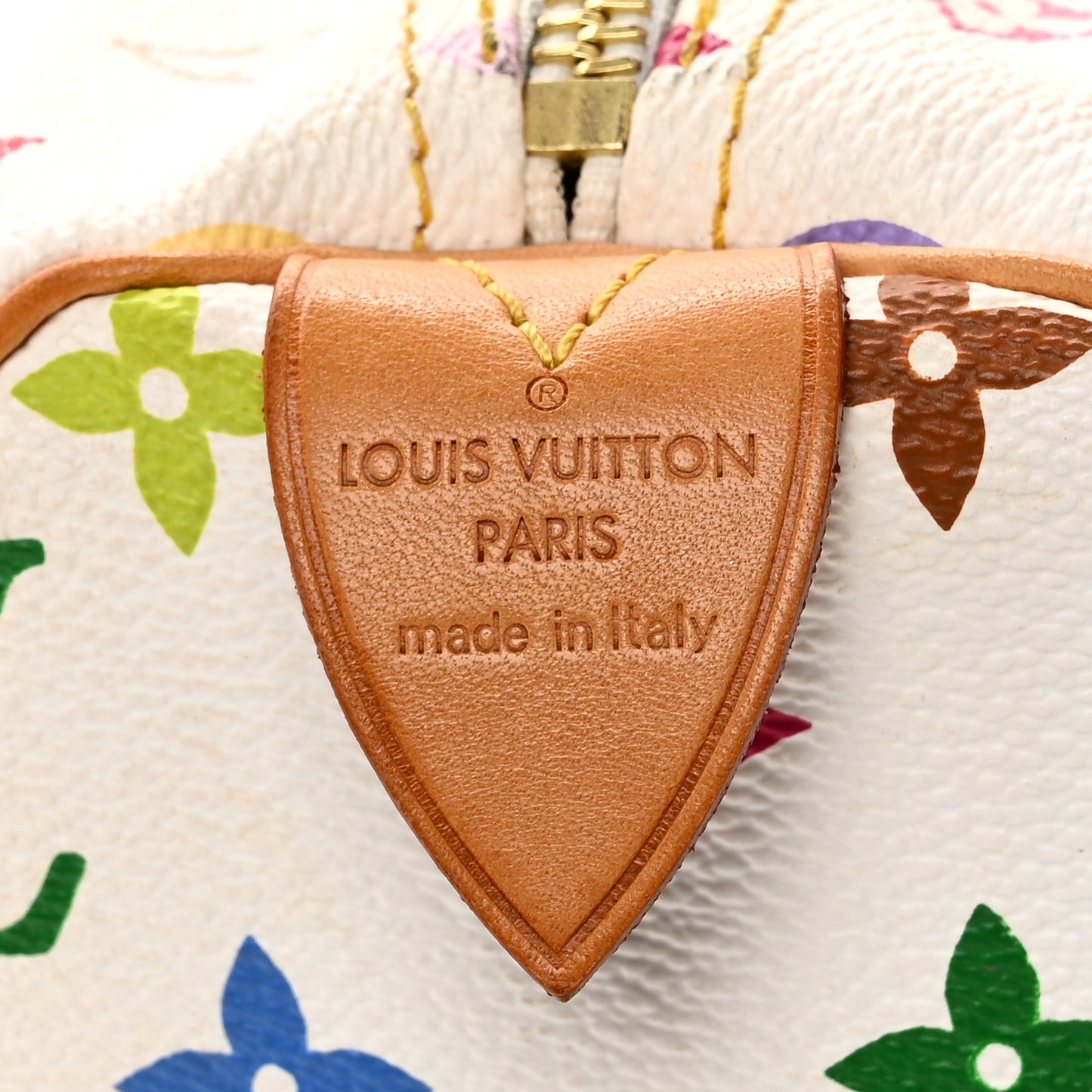 Monogram Multicolor Speedy 30 White