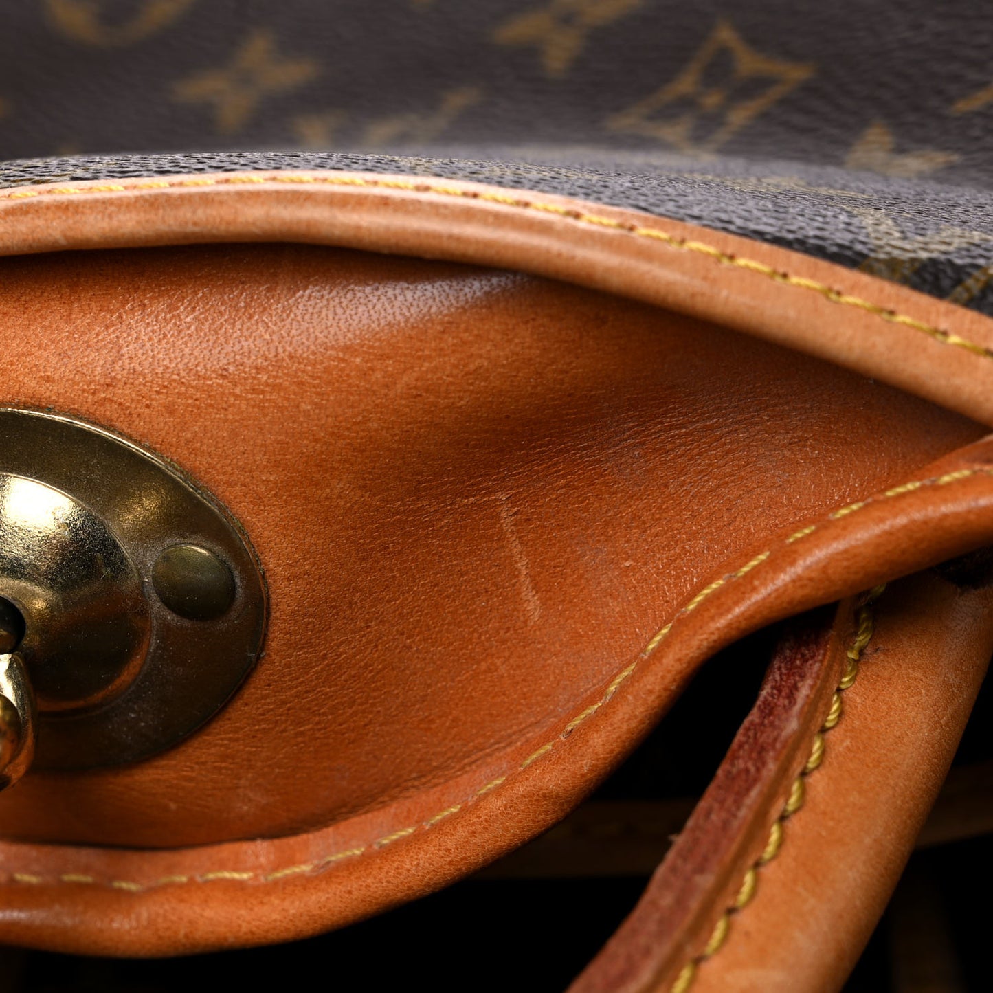 Monogram Garment Carrier