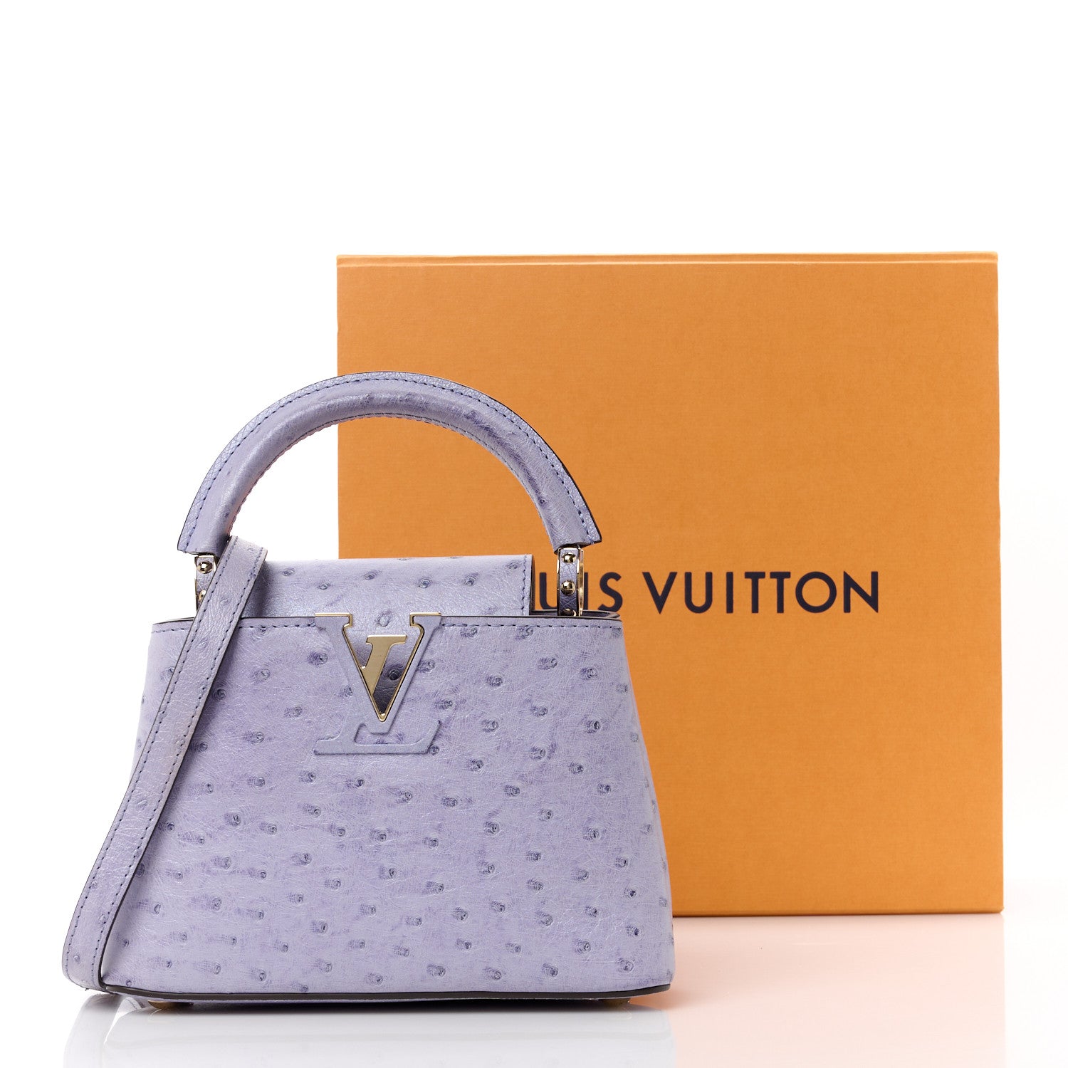 Louis Vuitton Ostrich Capucines Mini Grey 11 of 11