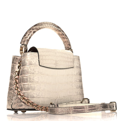 Louis Vuitton Iridescent Himalaya Crocodile Mini Capucines 3 of 9