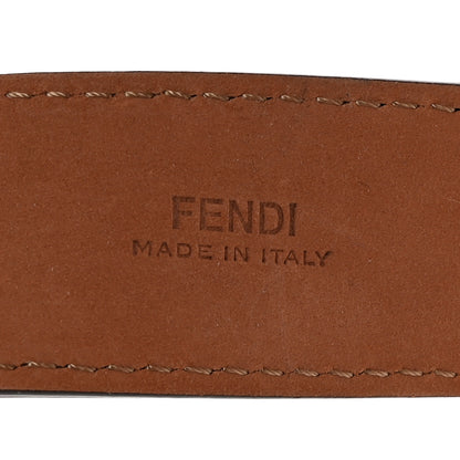 Fendi Vitello Catalan Mirror Multi Accessory Belt Argento 6 of 10