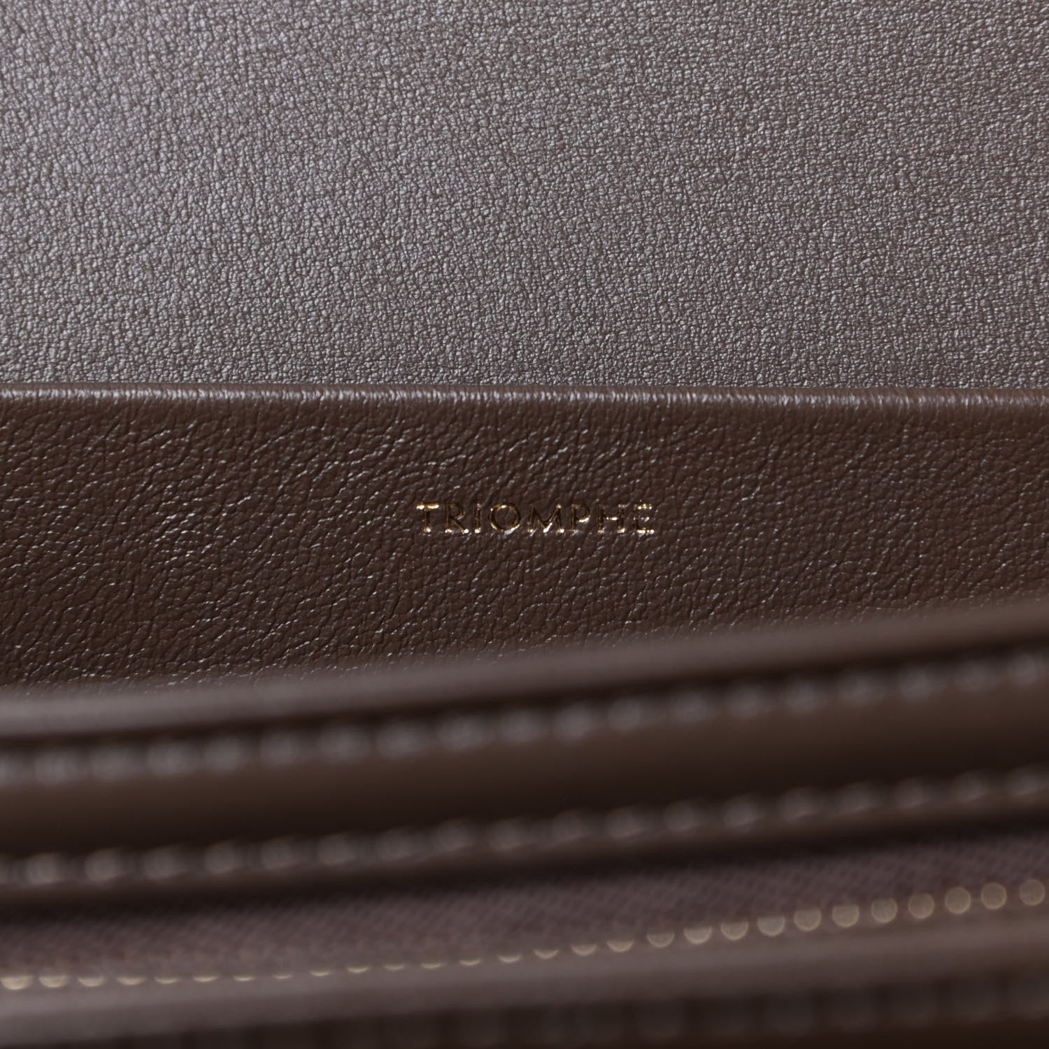Celine Shiny Calfskin Medium Triomphe Ecorce 9 of 12
