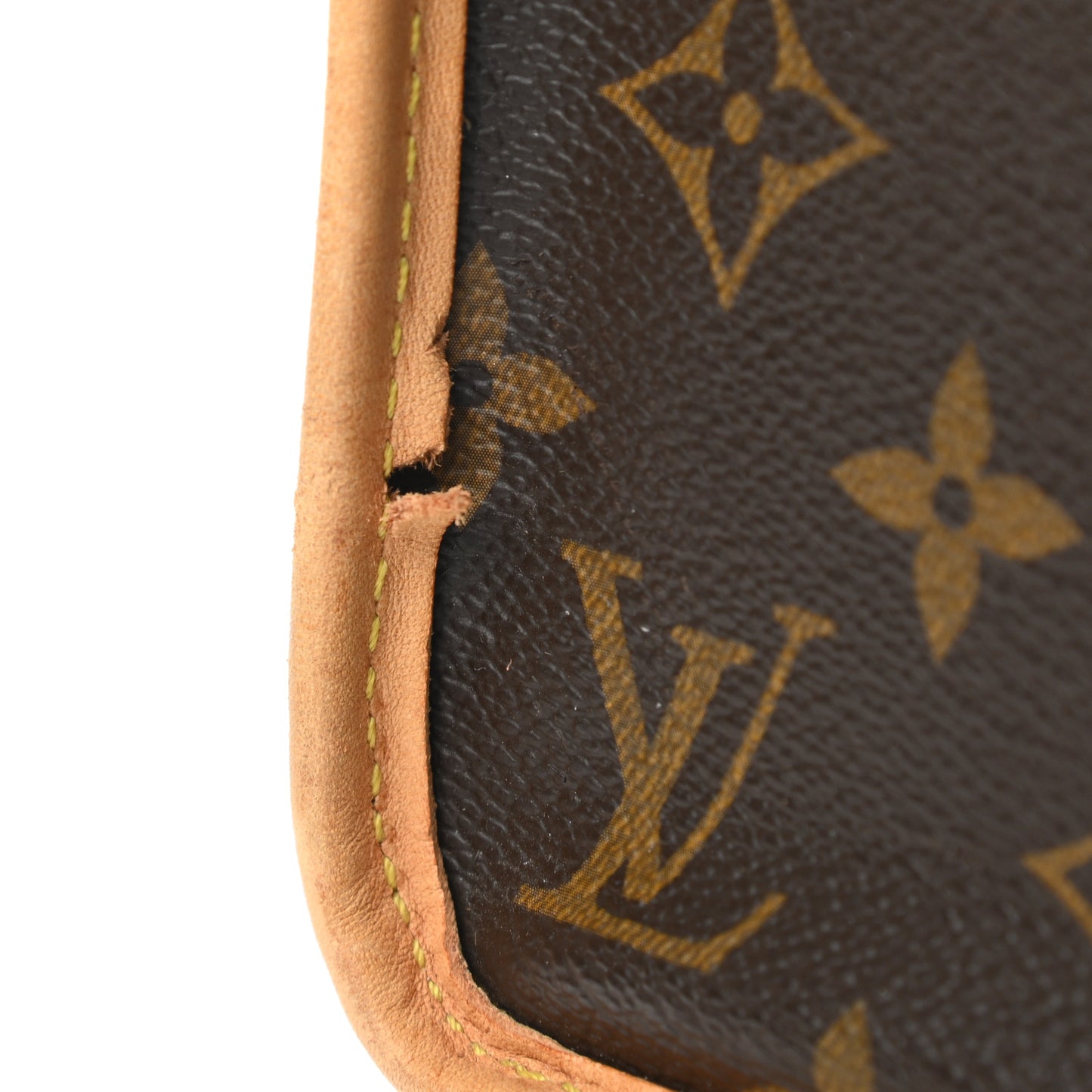 Monogram Sac Chien 40 Pet Carrier