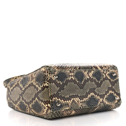 Christian Dior Snakeskin Medium Lady Dior Brown Multicolor 4 of 11