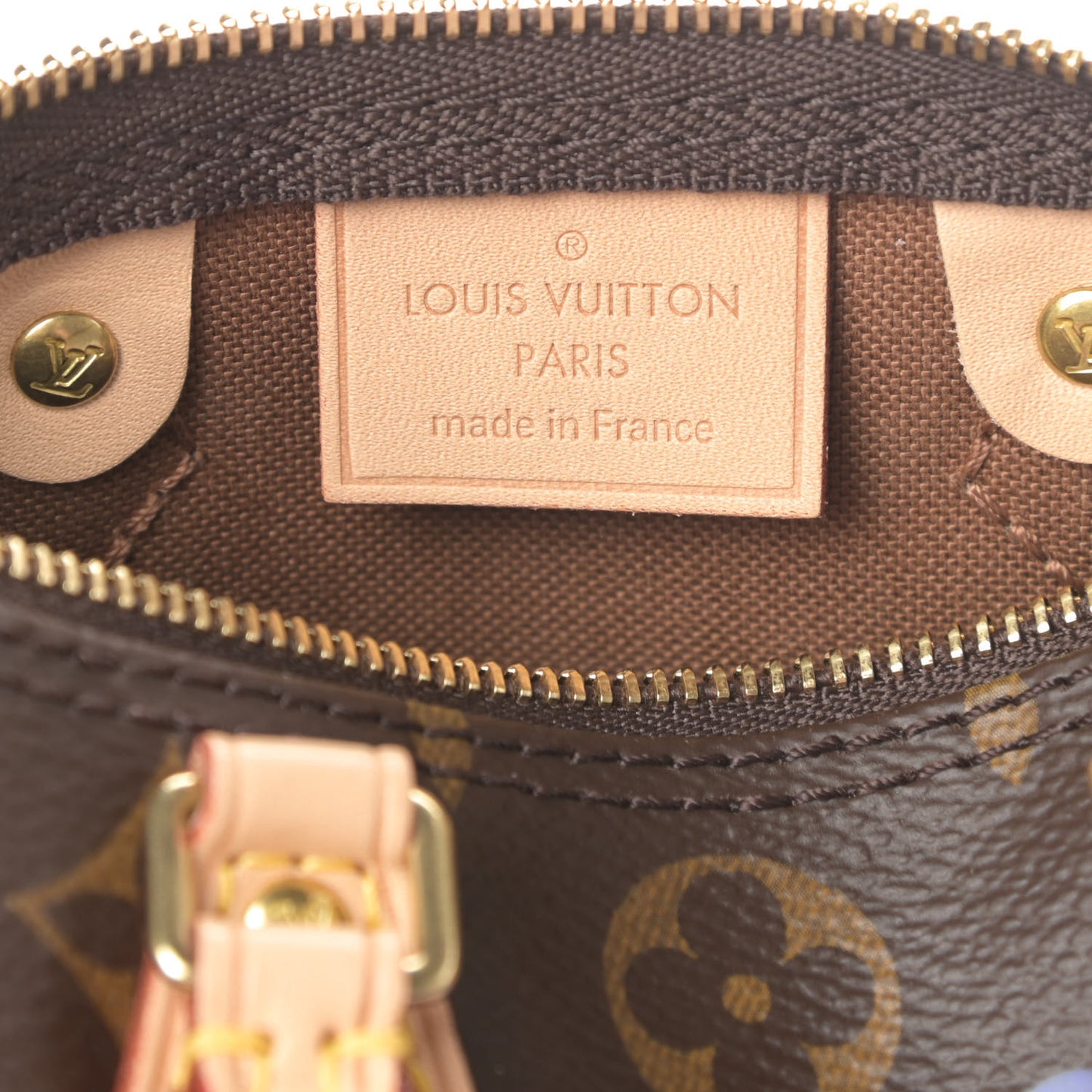 Monogram Nano Speedy