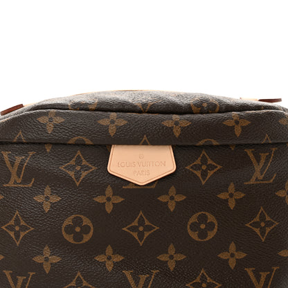 Louis Vuitton Monogram Bumbag 7 of 9