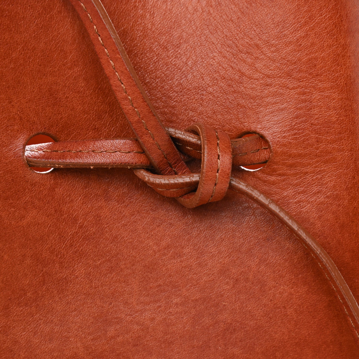 Mansur Gavriel Vegetable Tanned Calfskin Mini Bucket Bag Camello 13 of 18
