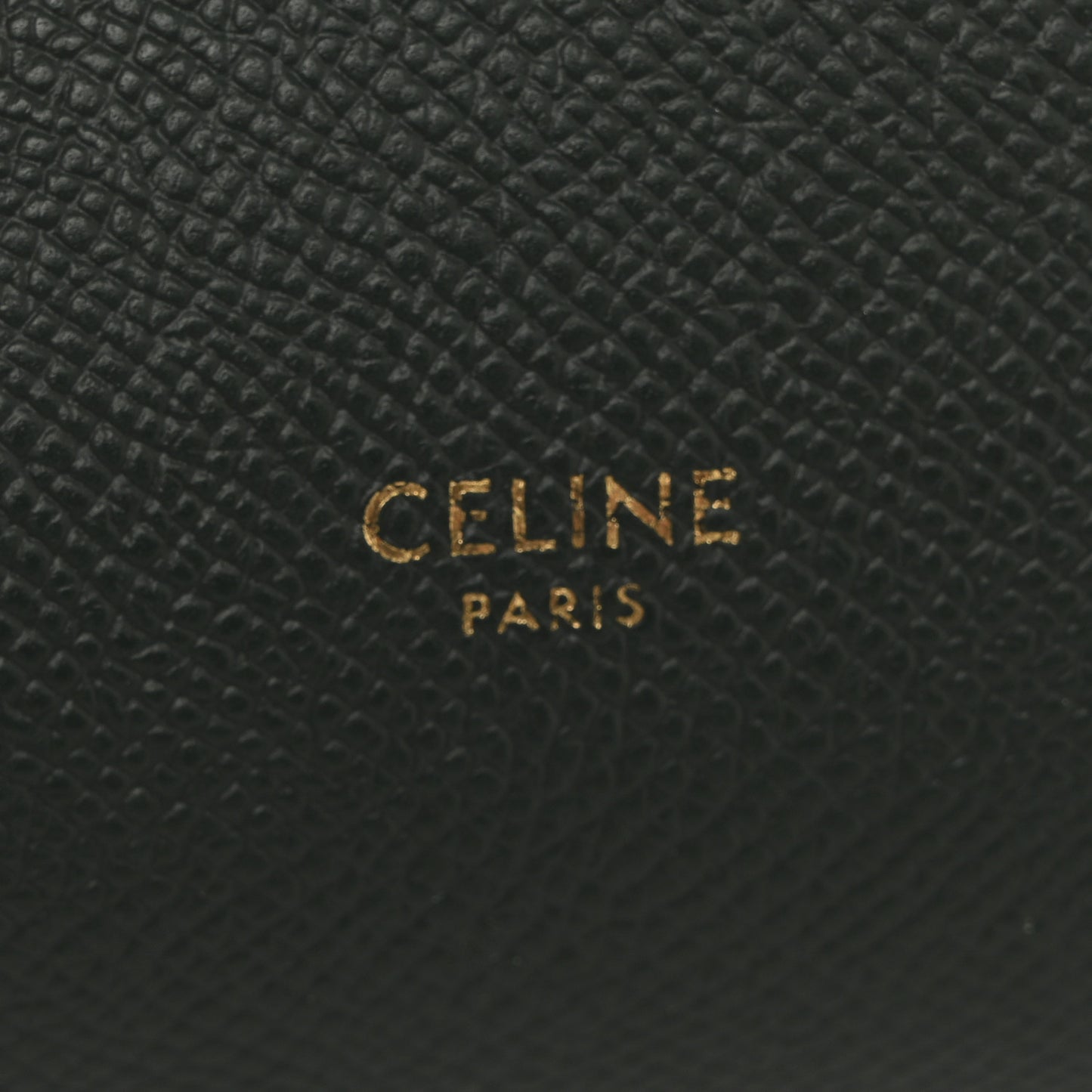 Grained Calfskin Nano Belt Bag Amazone