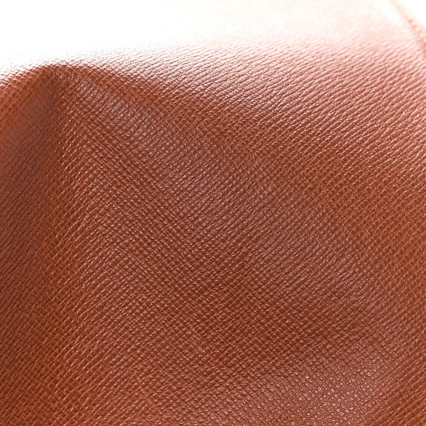 Monogram Musette Salsa