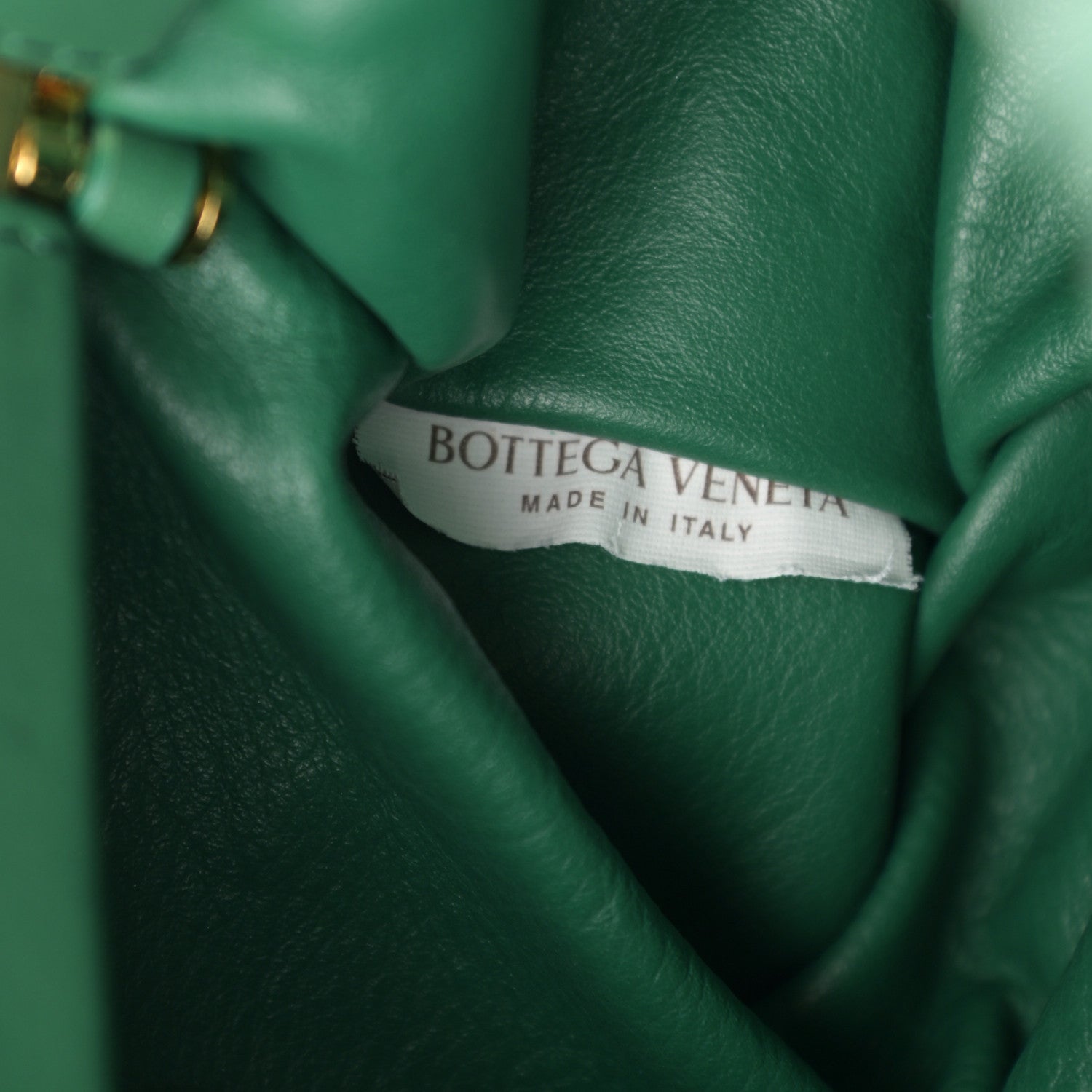 Bottega Veneta Calfskin The Pouch Chain Raintree 7 of 10
