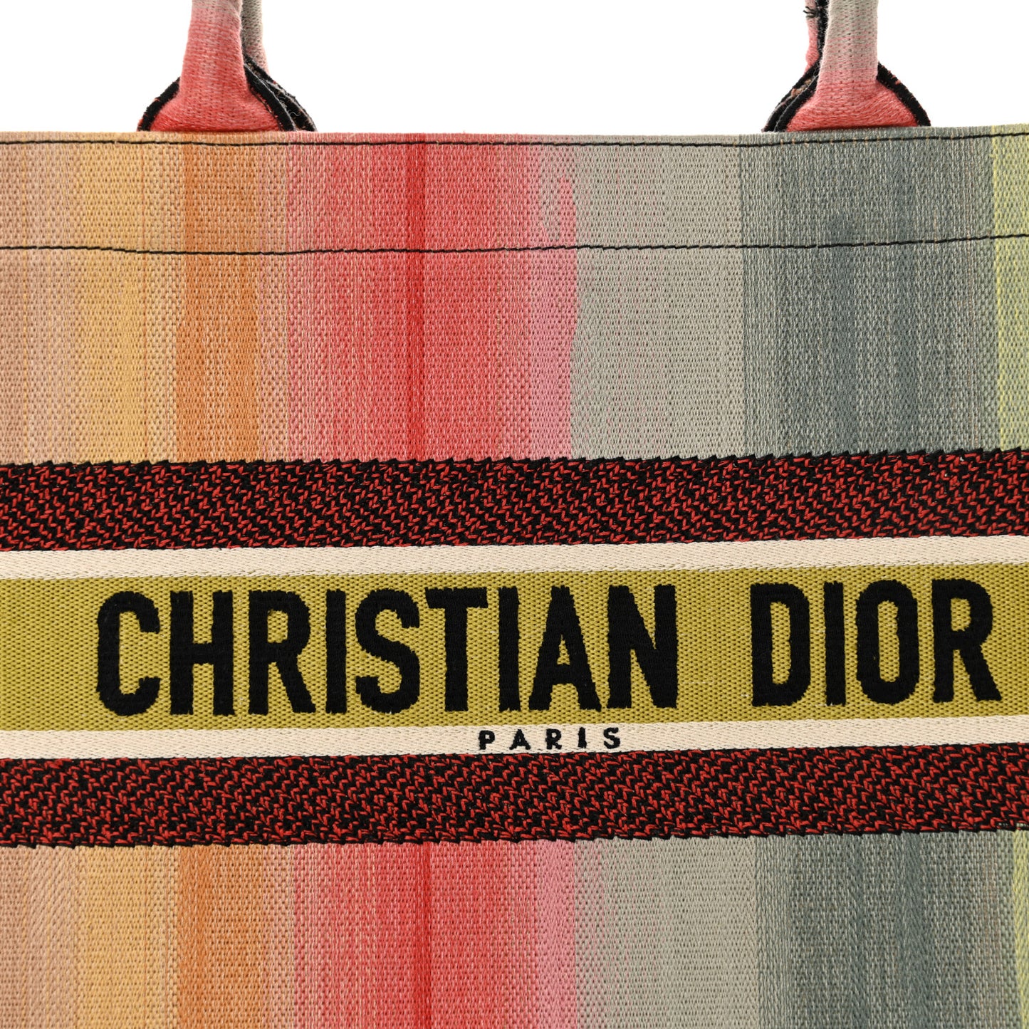 Canvas Embroidered Medium Dioraura Book Tote Multicolor