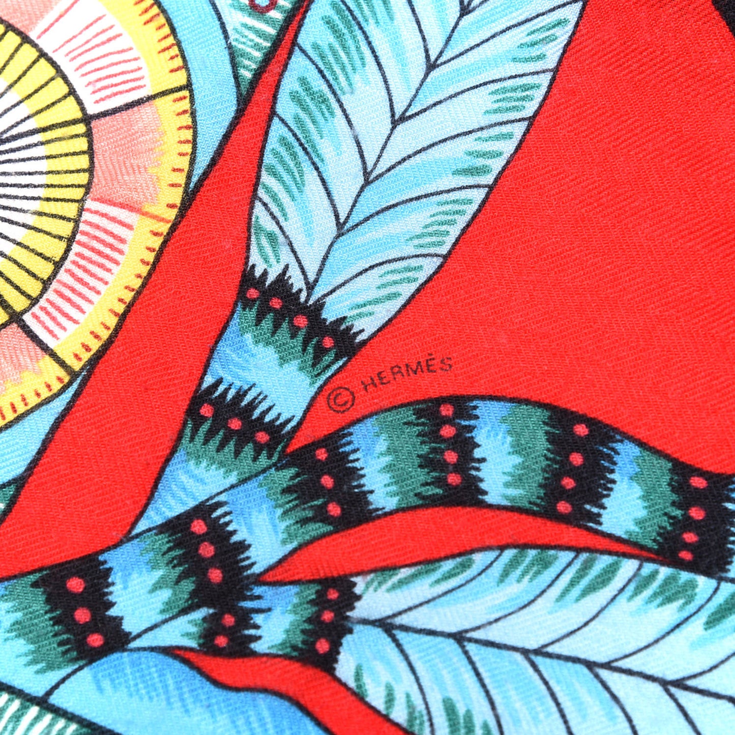 Cashmere Silk The Savana Dance Shawl 140 Rouge Turquoise Jaune