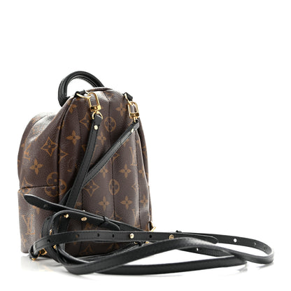 Louis Vuitton Monogram Palm Springs Backpack Mini 3 of 14