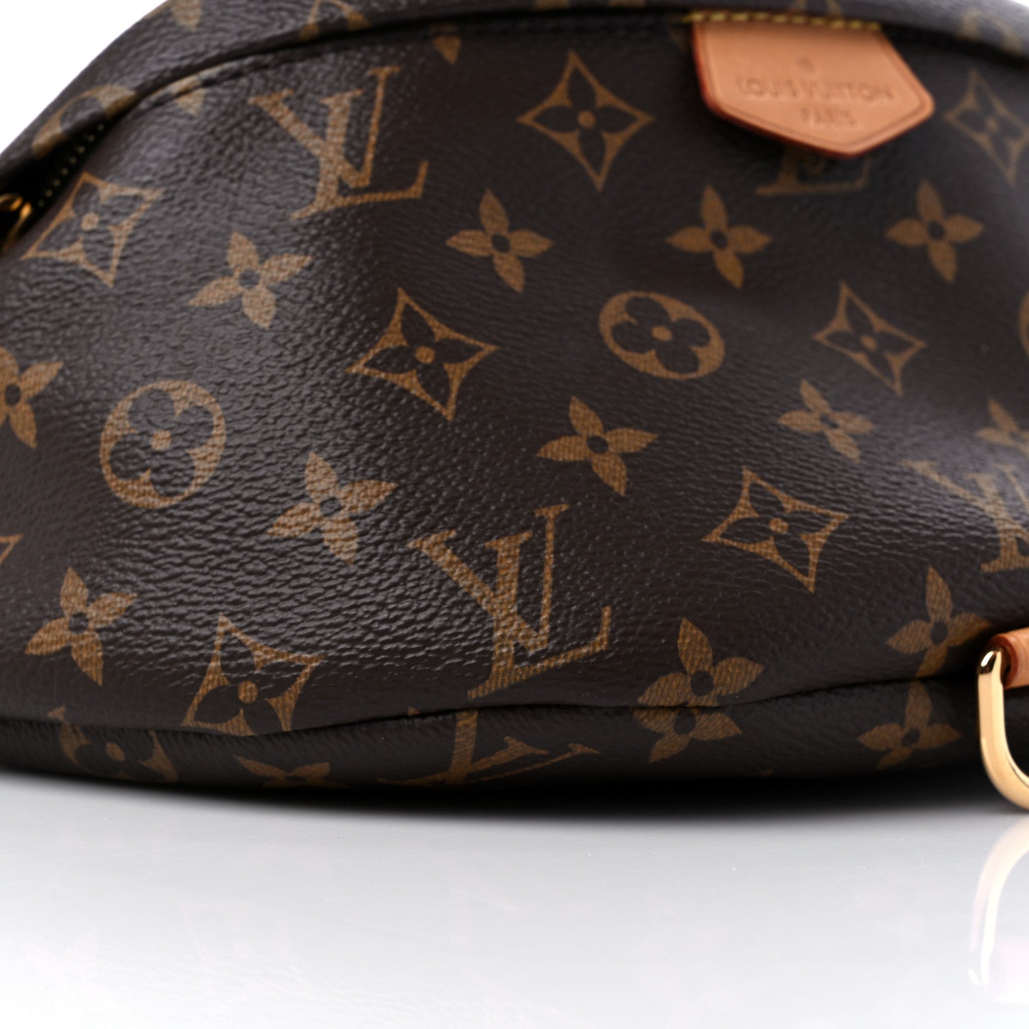 Louis Vuitton Monogram Bumbag 8 of 13