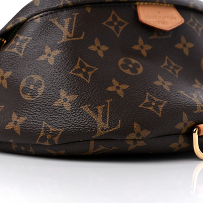 Louis Vuitton Monogram Bumbag 8 of 13