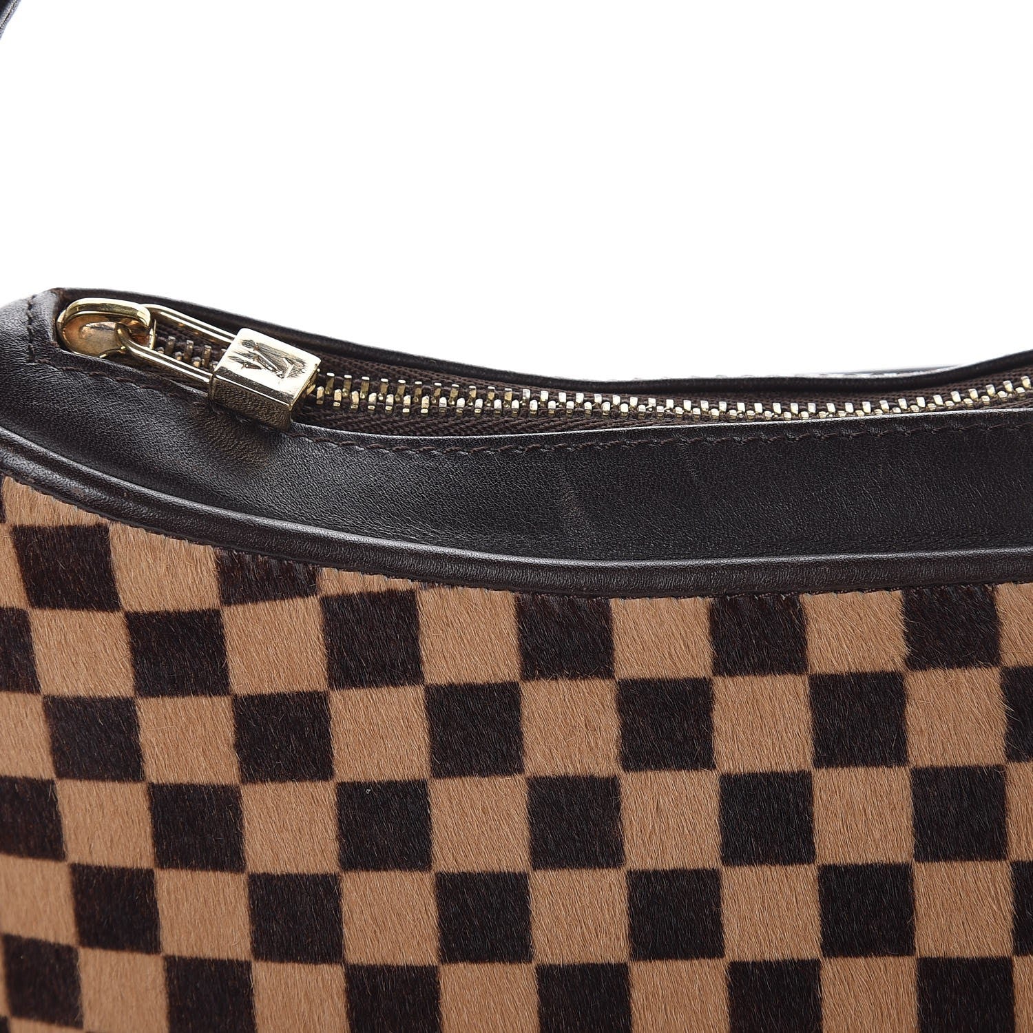 Louis Vuitton Calf Hair Damier Sauvage Tigre 9 of 13
