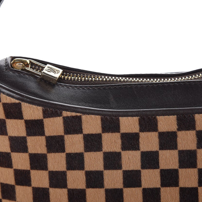 Louis Vuitton Calf Hair Damier Sauvage Tigre 9 of 13
