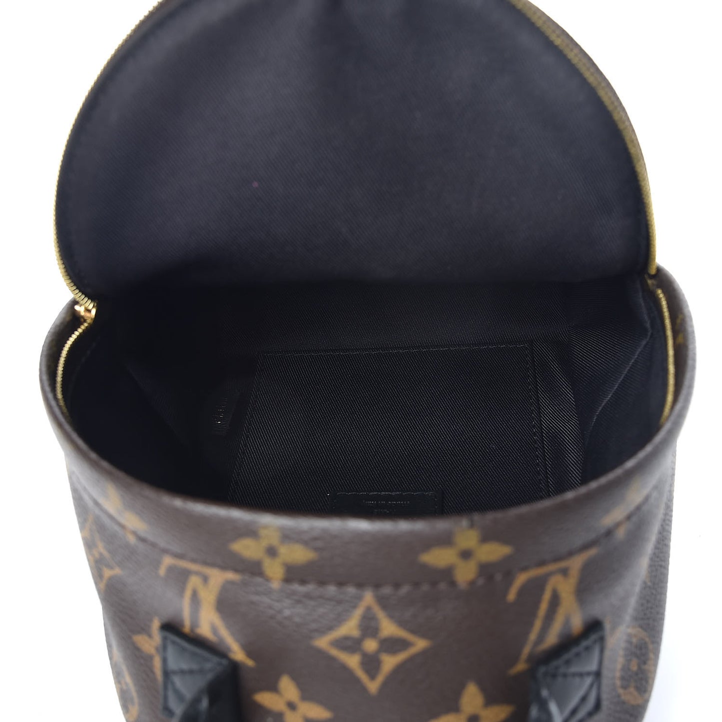 Monogram Palm Springs Backpack Mini