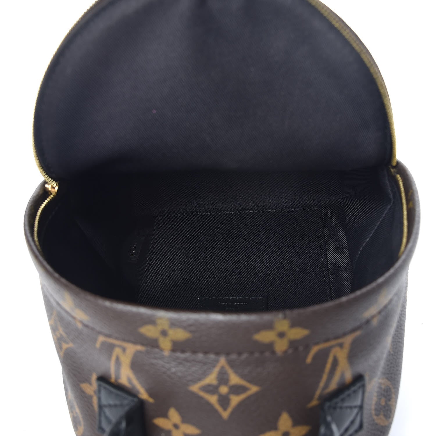 Louis Vuitton Monogram Palm Springs Backpack Mini 5 of 11