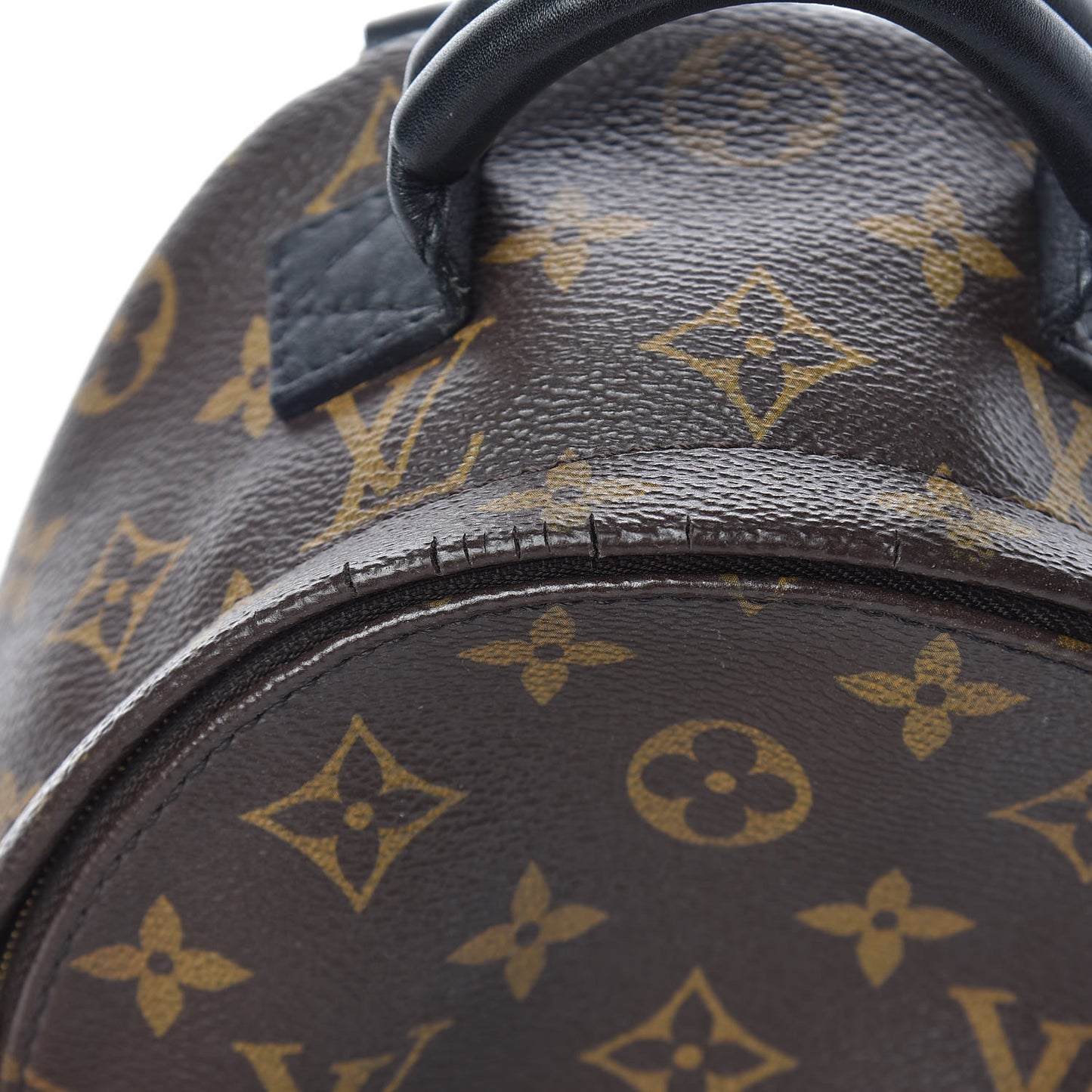Monogram Palm Springs Backpack Mini