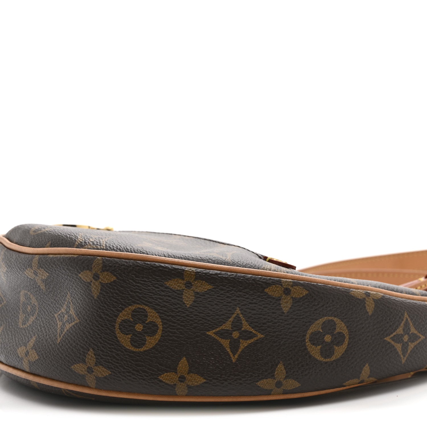 Louis Vuitton Monogram Loop 9 of 9