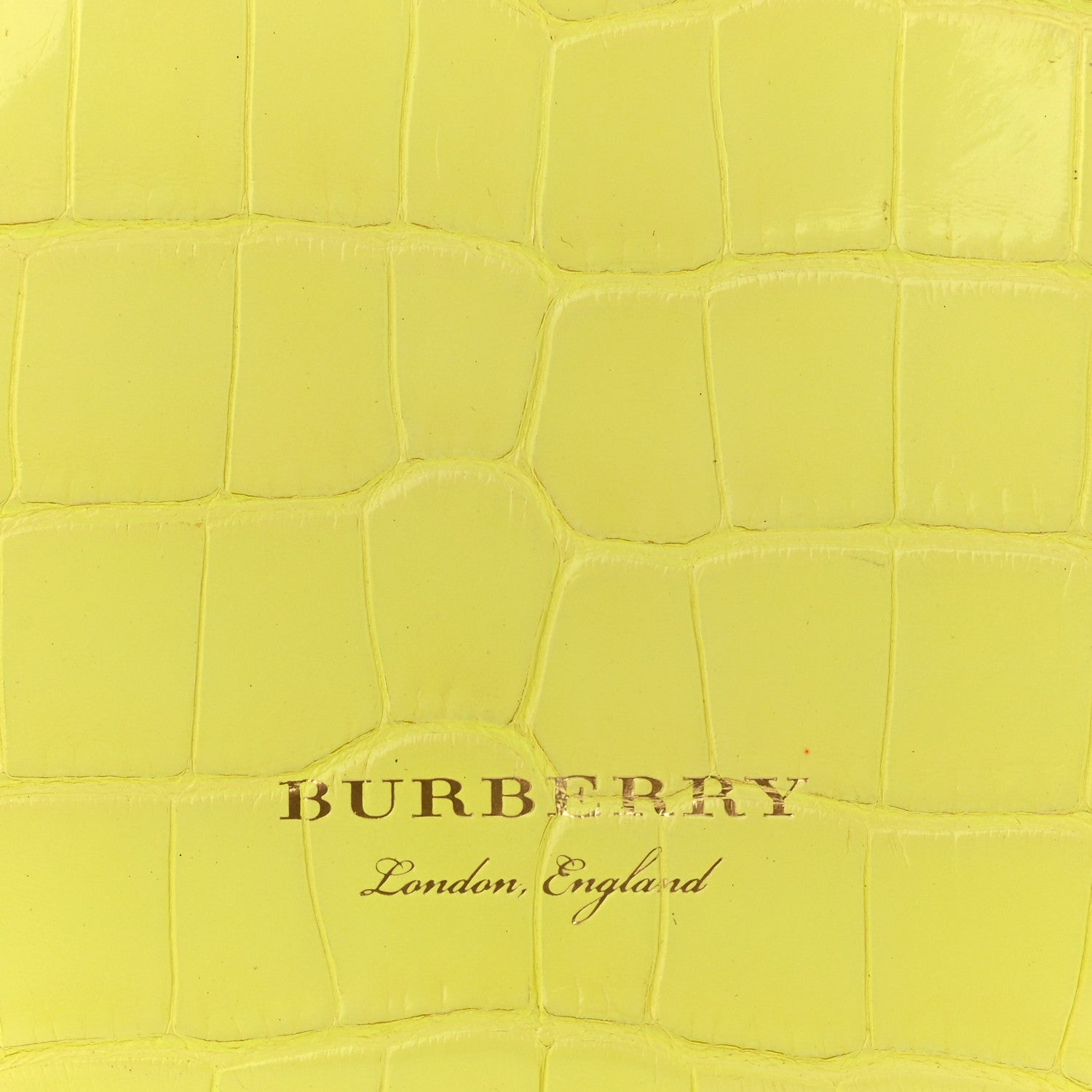 Burberry Alligator Mini Frame Bag Neon Yellow 8 of 13