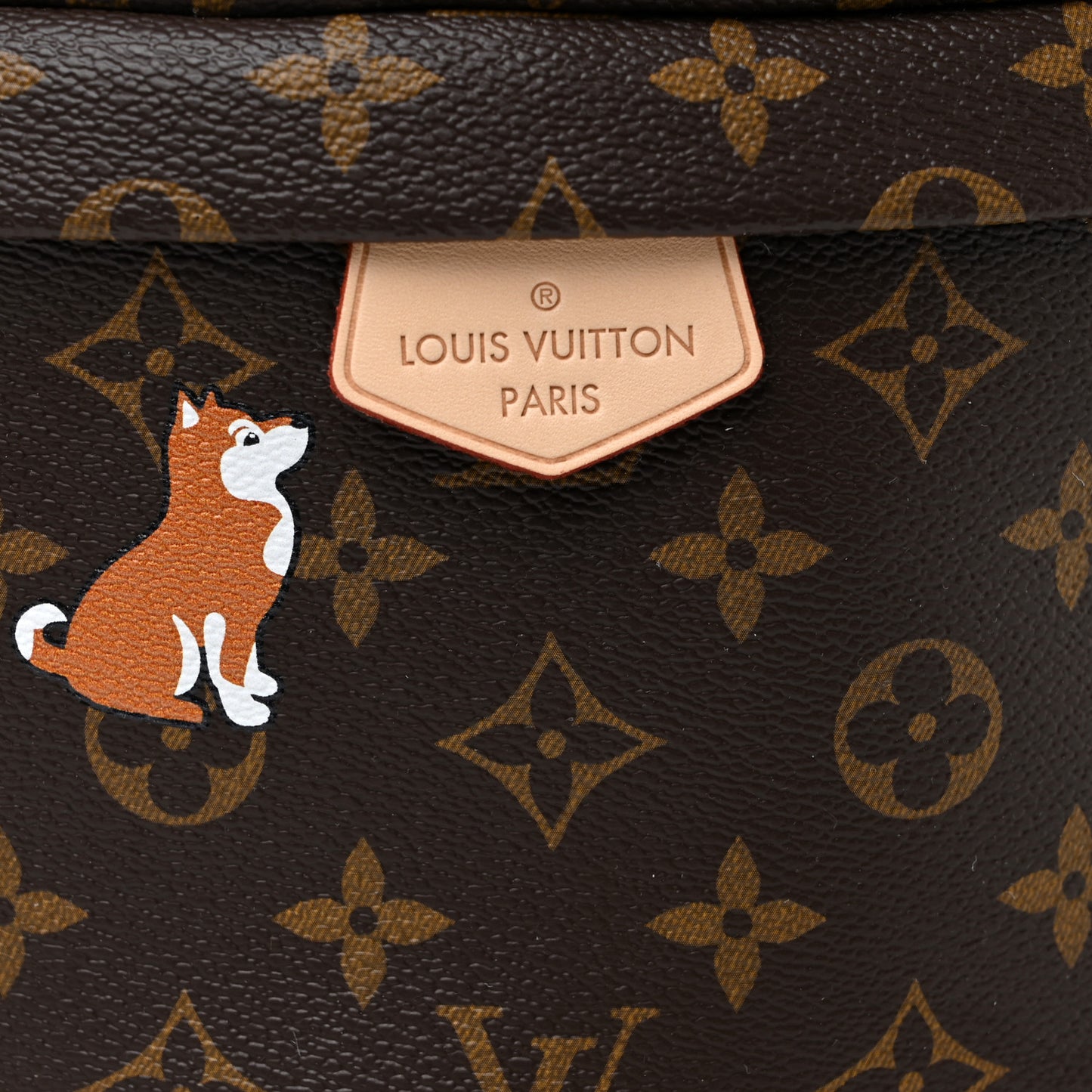 Monogram My LV World Tour Bumbag