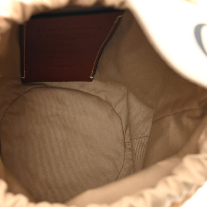 Chloe Raffia Calfskin Small Woody Basket Bag Brown 6 of 9