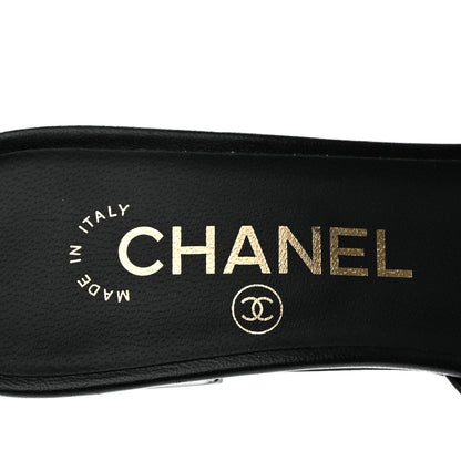 Chanel Lambskin Grosgrain Cap Toe Logo Ankle Strap Pumps 36.5 Black 6 of 9