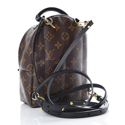 Louis Vuitton Monogram Palm Springs Backpack Mini 3 of 11