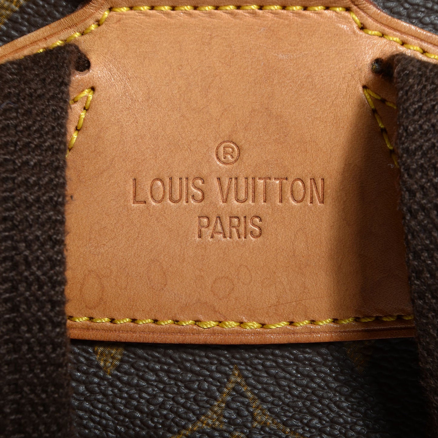 Monogram Montsouris GM Backpack