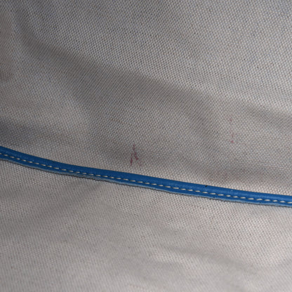 Goyard Goyardine Saint Louis PM Sky Blue 7 of 20