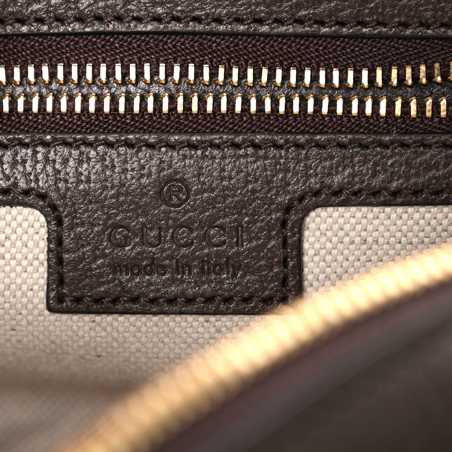GG Supreme Monogram Textured Dollar Calfskin Mini Ophidia Flap Shoulder Bag Beige Ebony New Acero