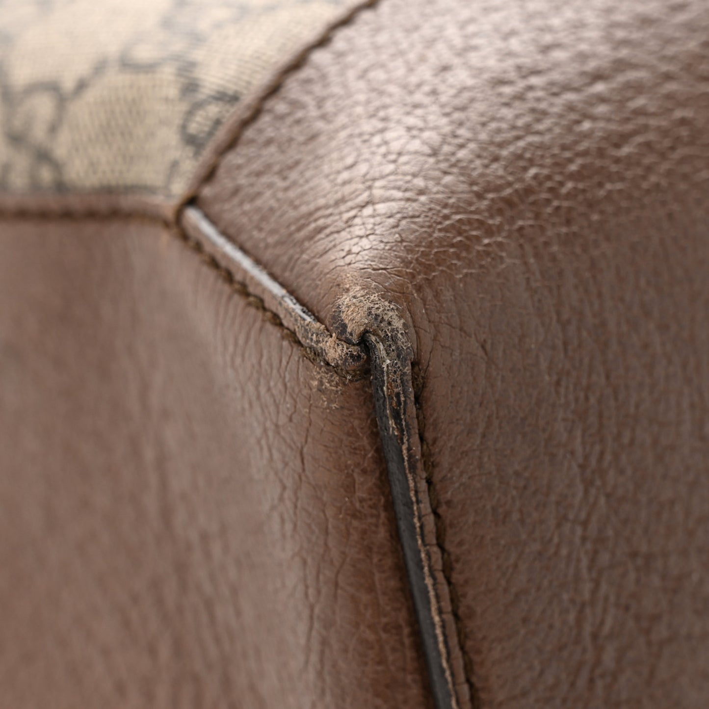 GG Supreme Monogram Web Ophidia Tote Brown