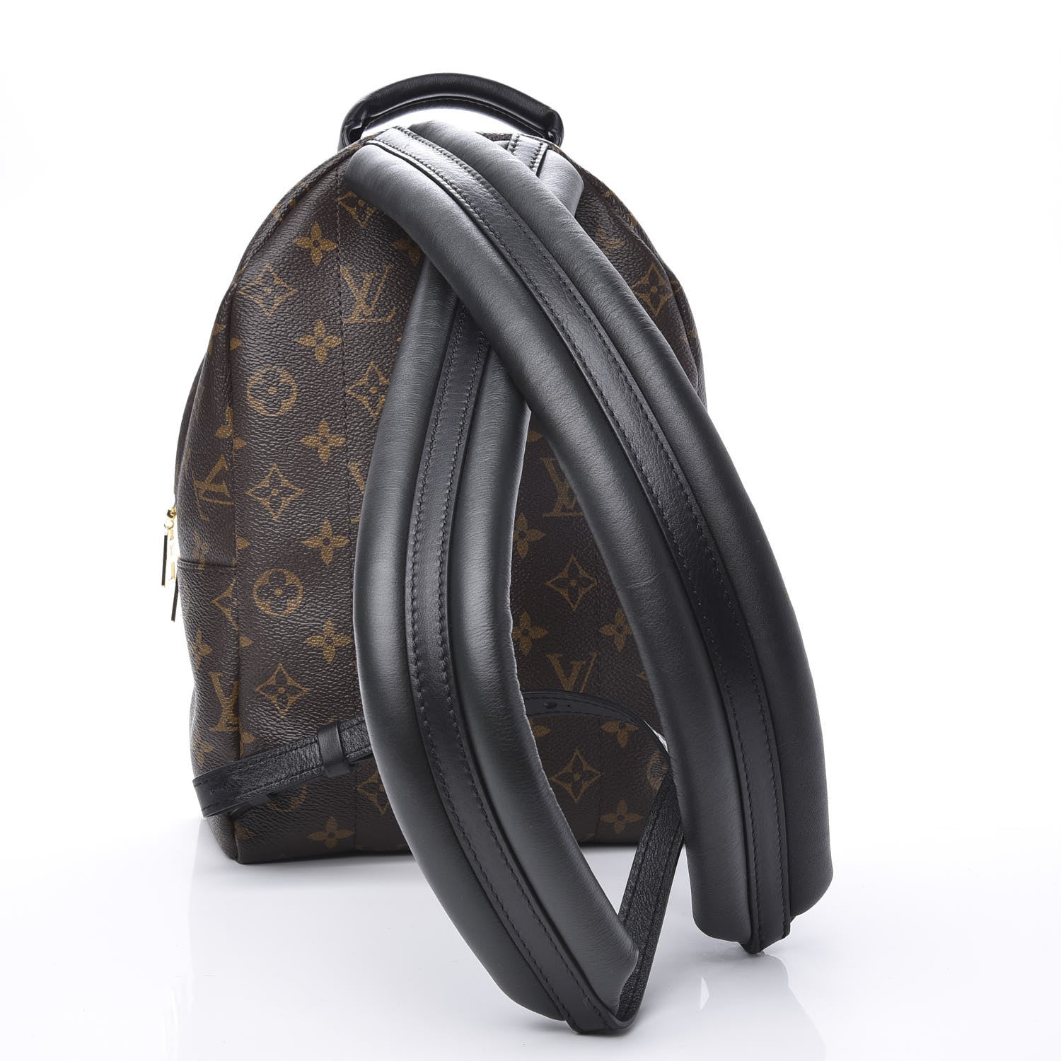 Louis Vuitton Monogram Palm Springs Backpack PM 2 of 10