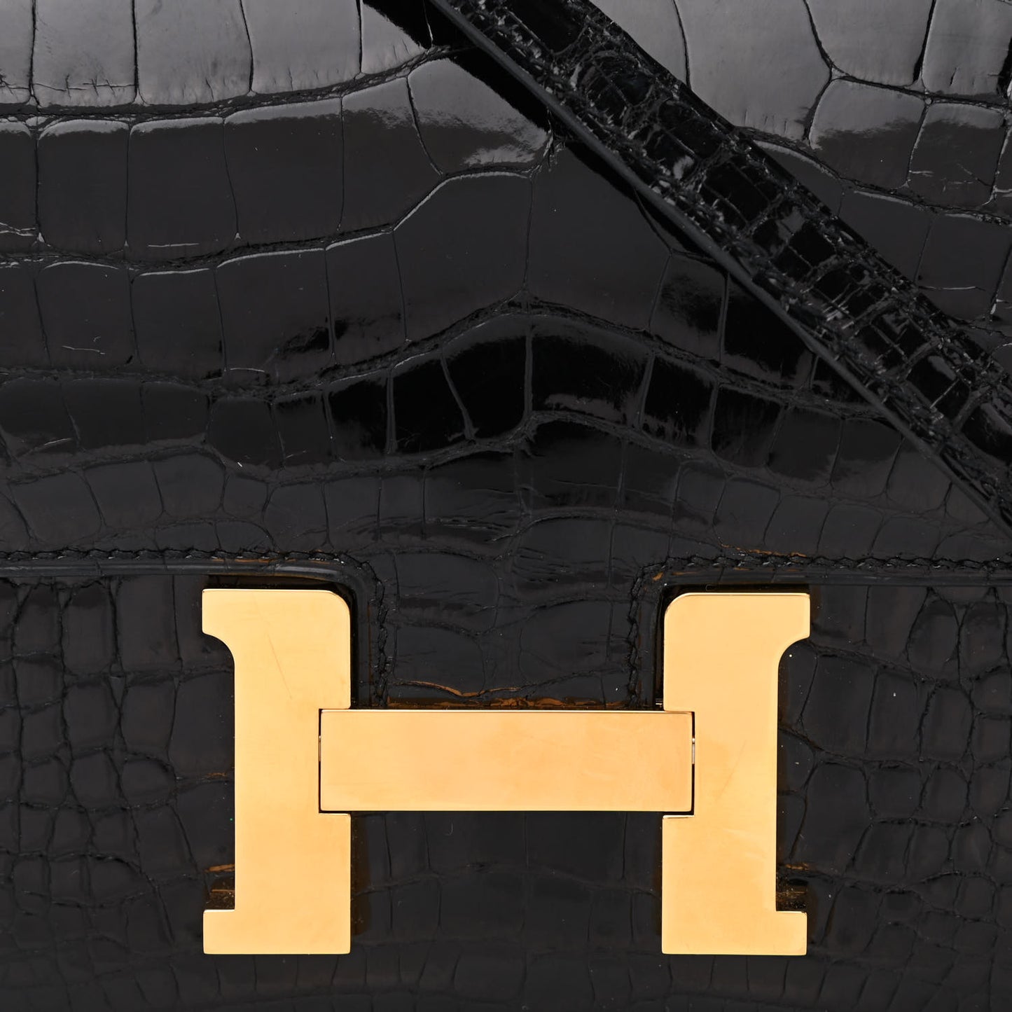 Shiny Alligator Constance 18 Black