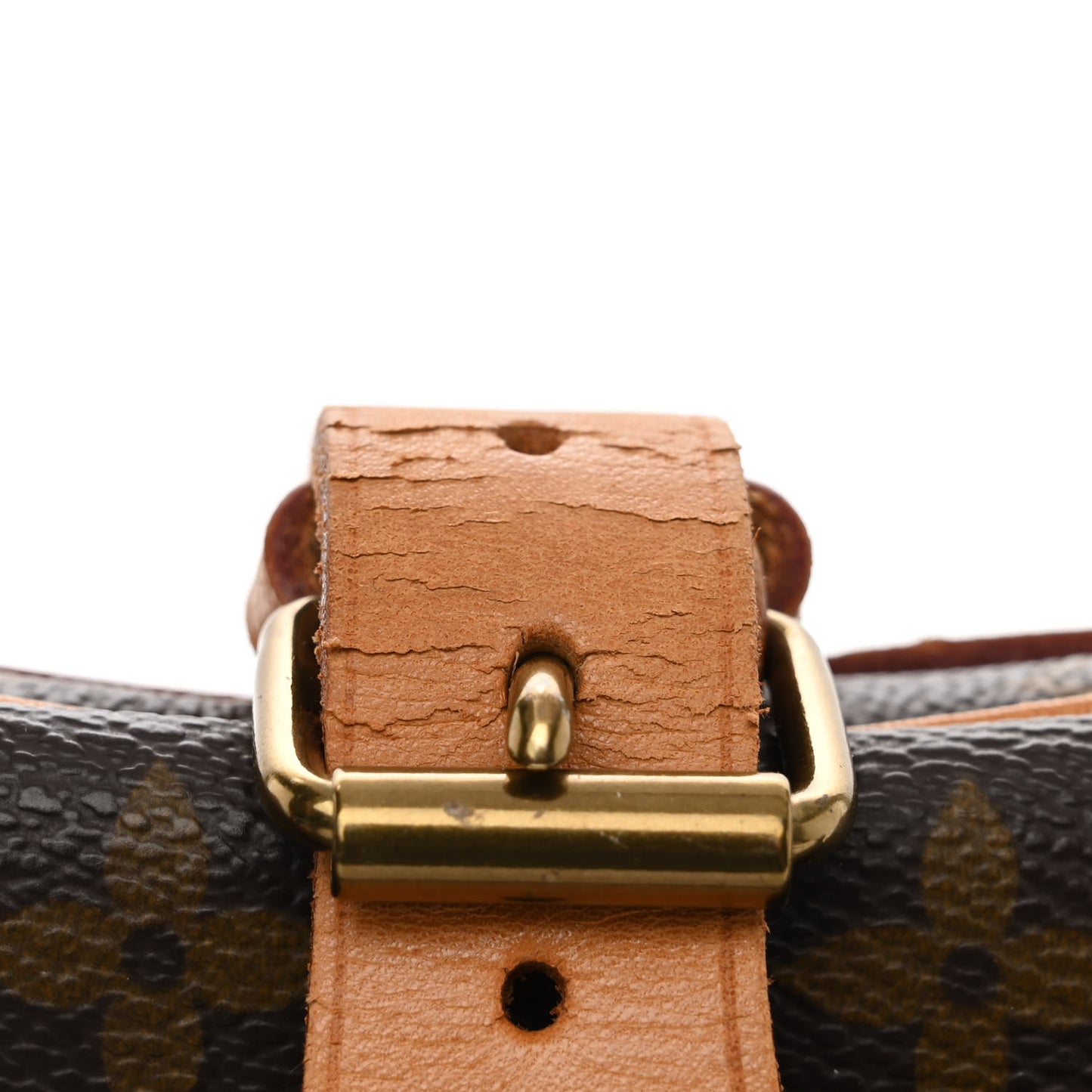Monogram Cartouchiere 22