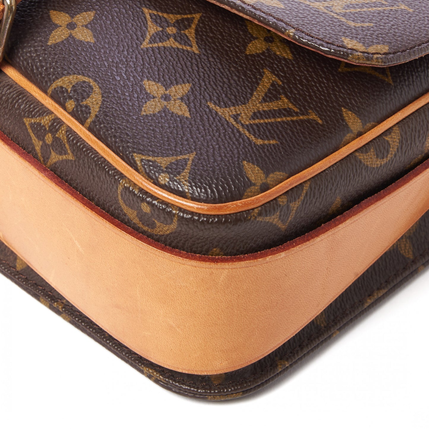 Monogram Cartouchiere 22
