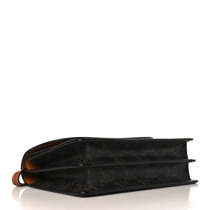 Celine Triomphe Canvas Lambskin Wallet On Strap Tan 4 of 11