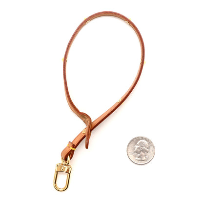 Louis Vuitton Vachetta Multicolor Pochette Accessories Strap 2 of 3