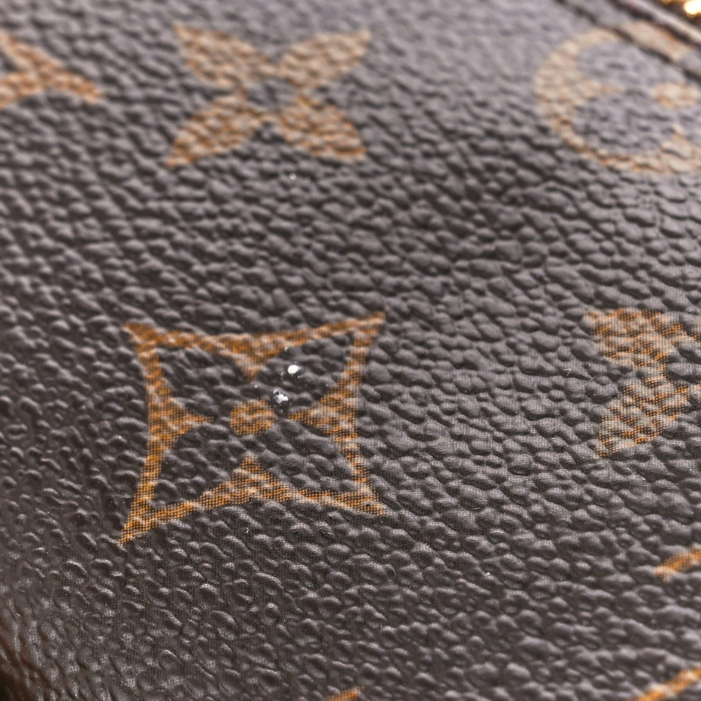 Monogram Papillon 26