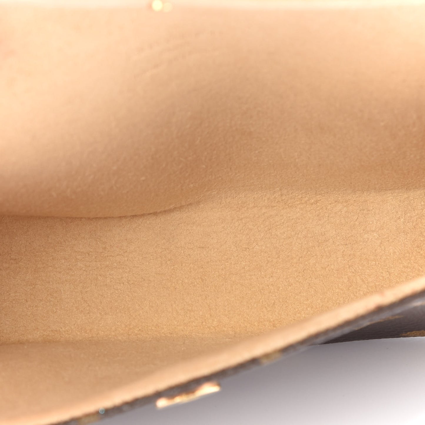Monogram Pochette Florentine XS