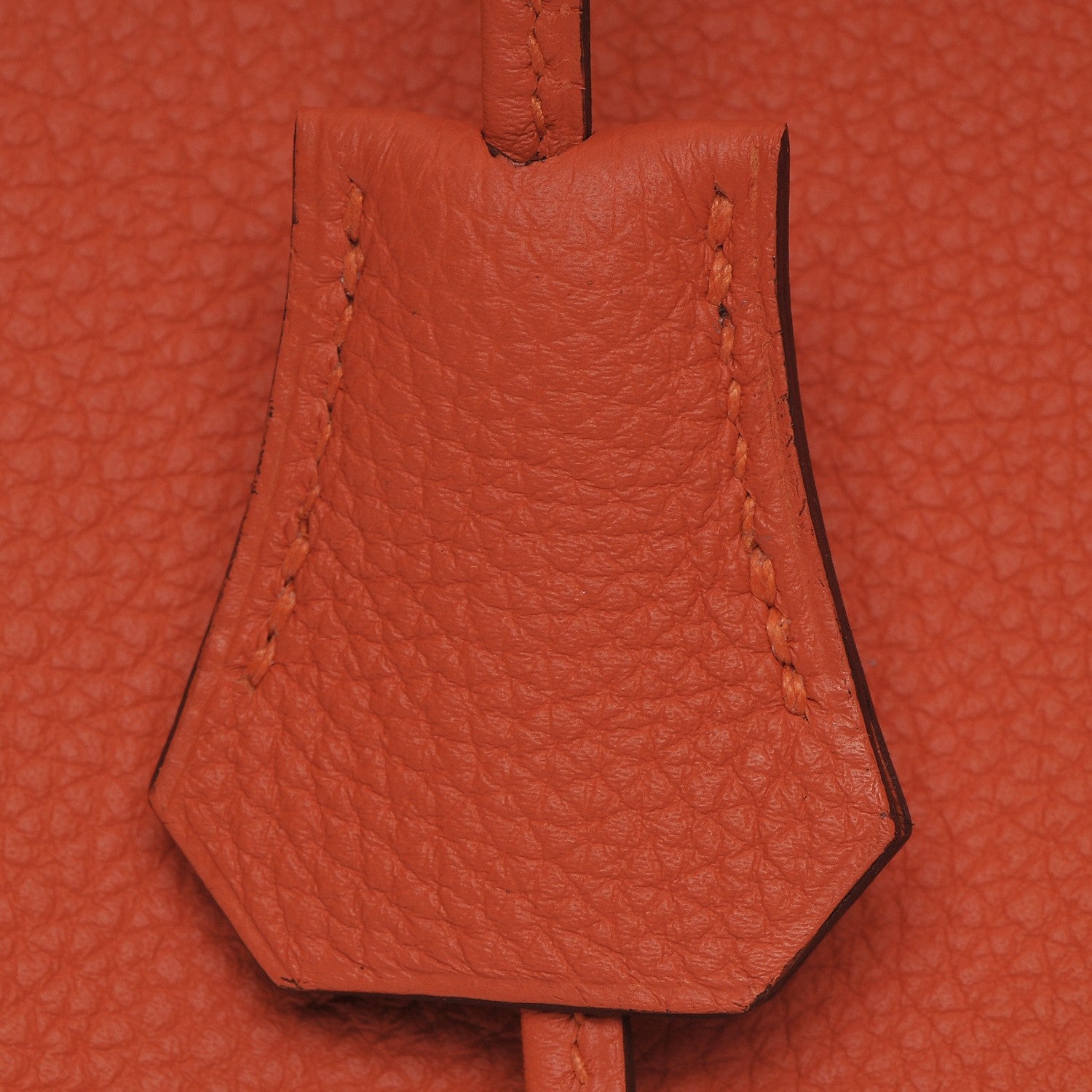 Hermes Togo Birkin 30 Feu 29 of 30