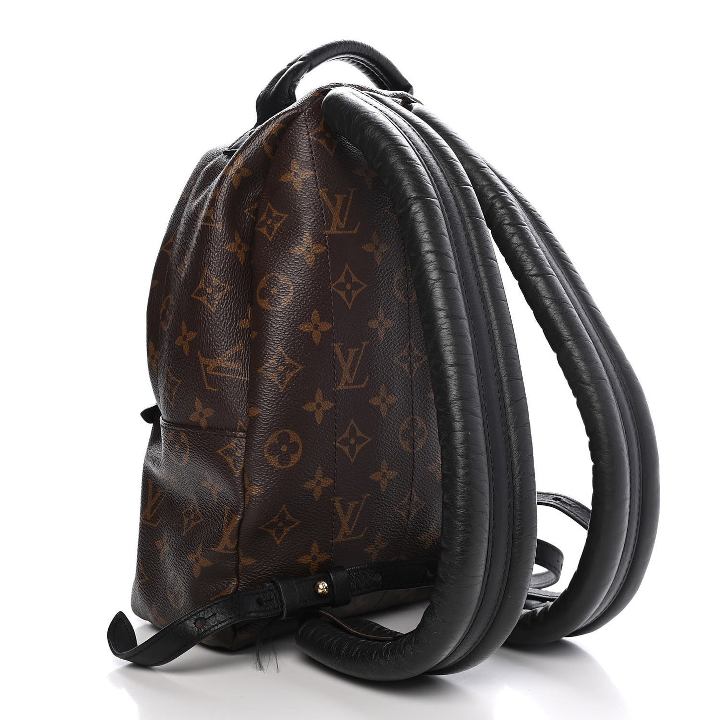 Monogram Palm Springs Backpack PM