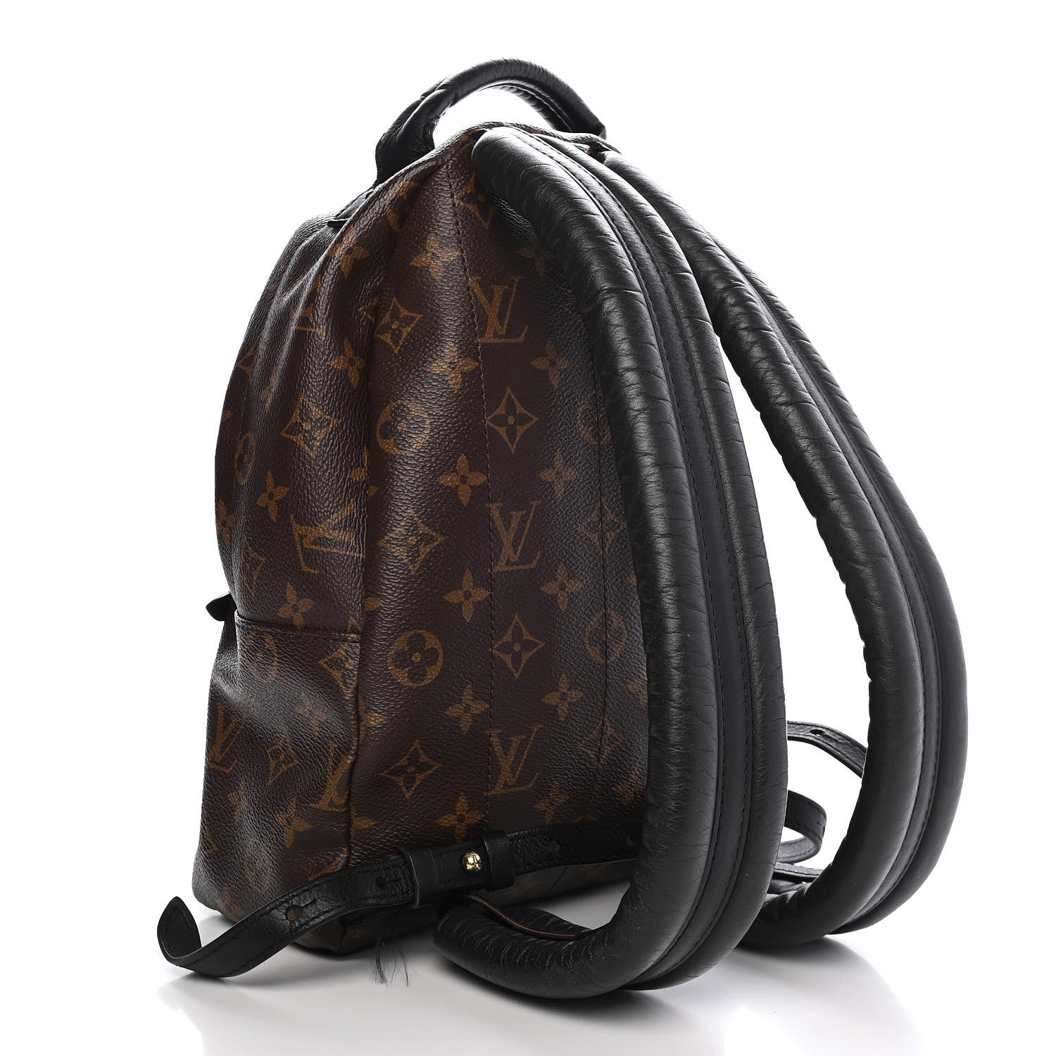 Louis Vuitton Monogram Palm Springs Backpack PM 3 of 10