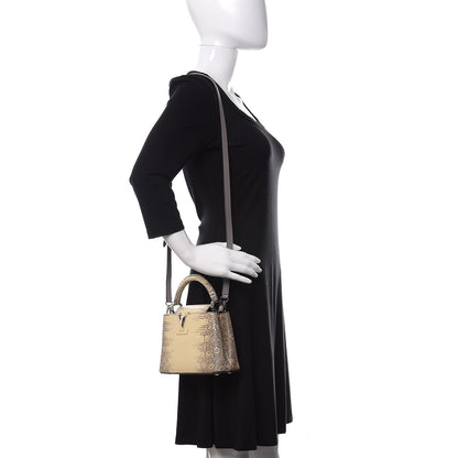Louis Vuitton Lizard Ombre Capucines Mini Natural 2 of 10